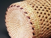 soapberry-detail
